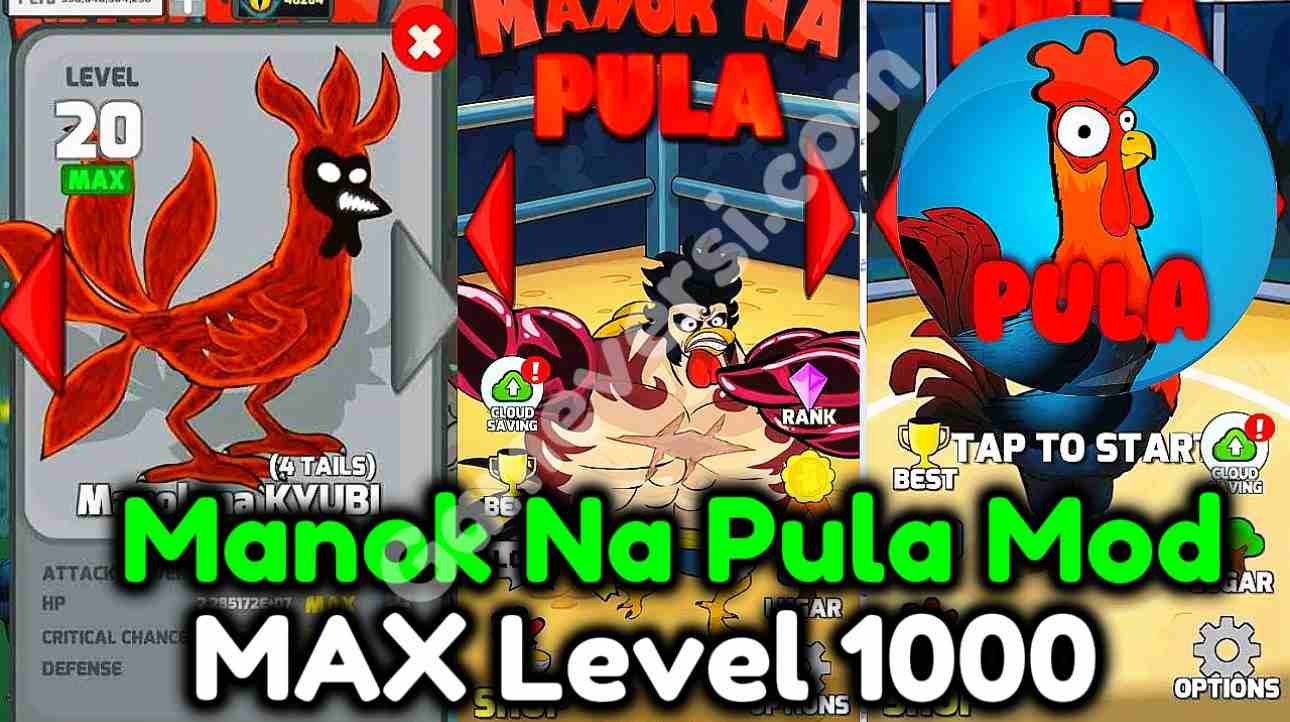 Manok Na Pula Mod APK Max Level 1000 Unlimited Money and Eye Terbaru 2026